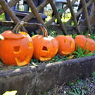 DSC00301.JPG