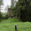 Raubritter _10_.JPG