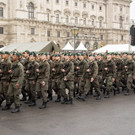 Viennas_at-4.jpg