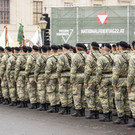 Viennas_at-92.jpg