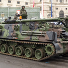 Viennas_at-2.jpg