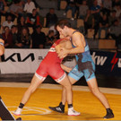 steigl h__usle aaa.jpg