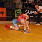 struzijnski vasilchenko_jpg frei.jpg