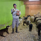Steinschaf11.jpg