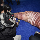 2022_Heidi_Klum_27s_Annual_Halloween_Party_69307.jpg