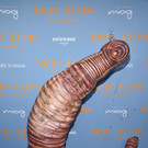 2022_Heidi_Klum_27s_Annual_Halloween_Party_74196.jpg