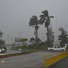 AFP_32MN6LH.jpg
