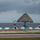 AFP_32ML9UF.jpg