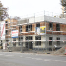 DSCI8923.JPG