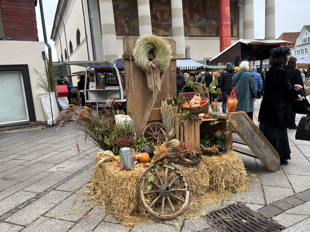 martini markt _7_.jpg