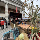 martini markt _17_.jpg