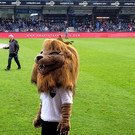 Fu__ball NETZER VERABSCHIEDUNG Altach 06-11-2022 _47_.jpg