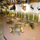 DSC05681.JPG