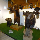 DSC05684.JPG