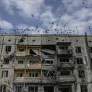 AFP_32MQ7CP.jpg