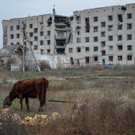 2022-11-08T200105Z_766629275_RC2LHX9AZHA7_RTRMADP_3_UKRAINE-CRISIS-KHERSON-REGION.JPG