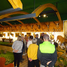 DSC05676.JPG