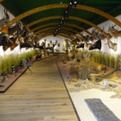 DSC05680.JPG