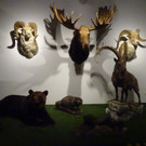 DSC05685.JPG