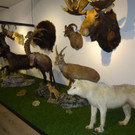 DSC05686.JPG