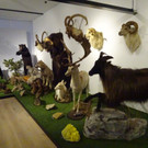 DSC05687.JPG