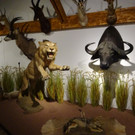 DSC05688.JPG