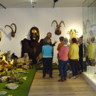 DSC05690.JPG