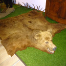 DSC05694.JPG