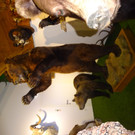 DSC05695.JPG