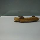 DSC05696.JPG