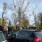 amokdrohung haselstauden _1_.jpg