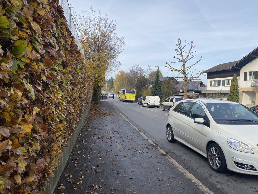 amokdrohung haselstauden _13_.jpg