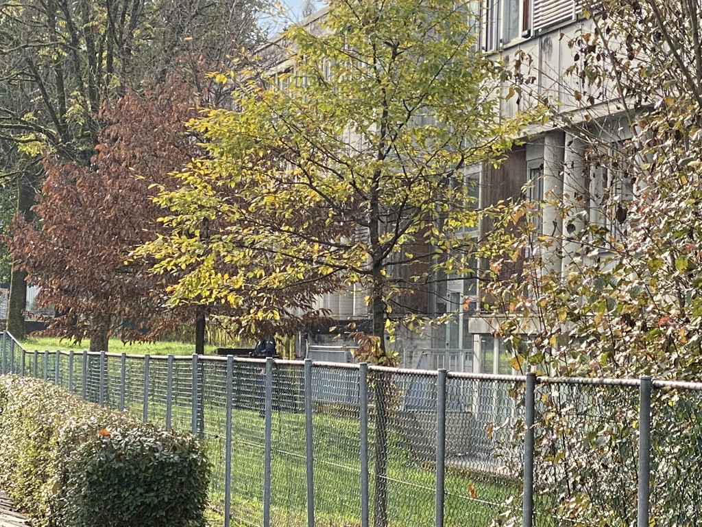 amokdrohung haselstauden _16_.jpg