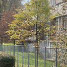 amokdrohung haselstauden _16_.jpg