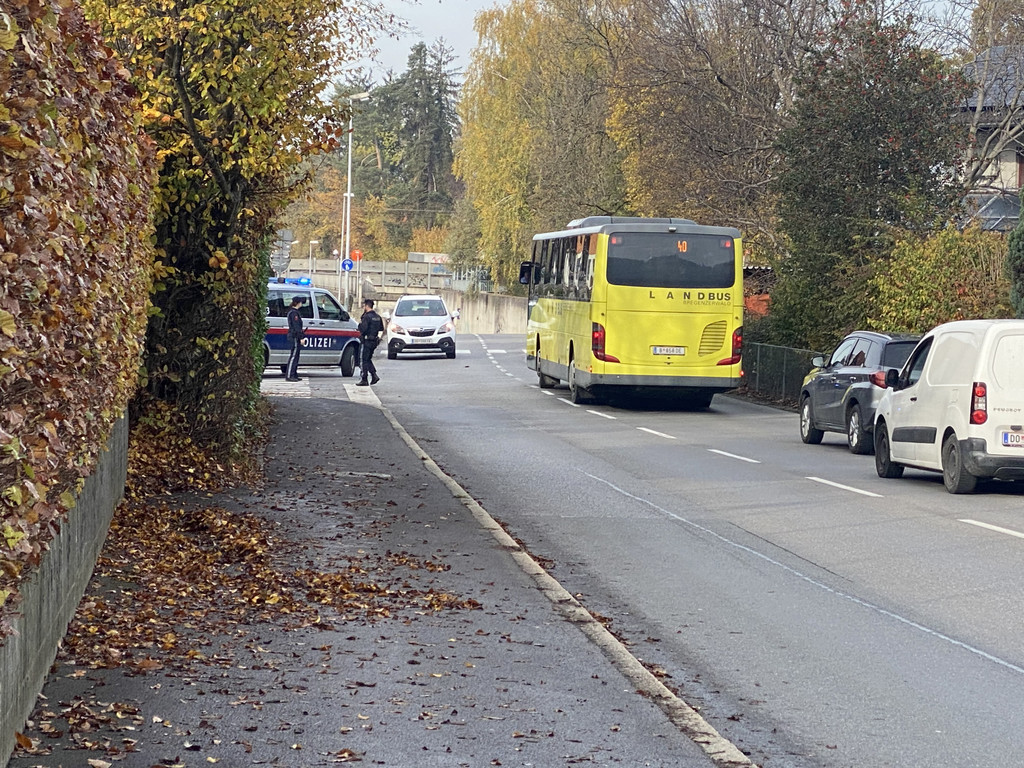 amokdrohung haselstauden _14_.jpg