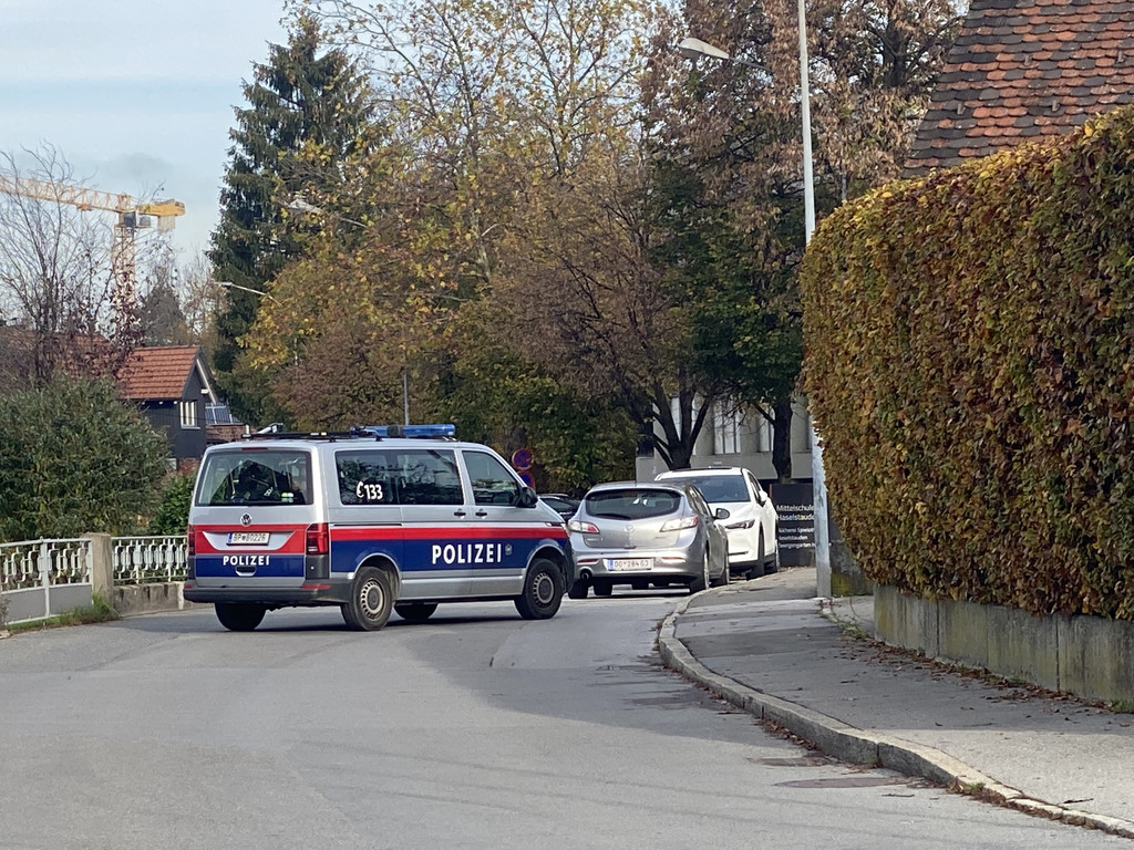 amokdrohung haselstauden _20_.jpg