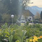 amokdrohung haselstauden _23_.jpg