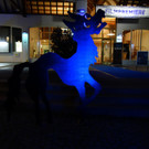 DSC08971.JPG