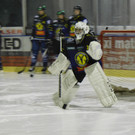 DSCI8929.JPG