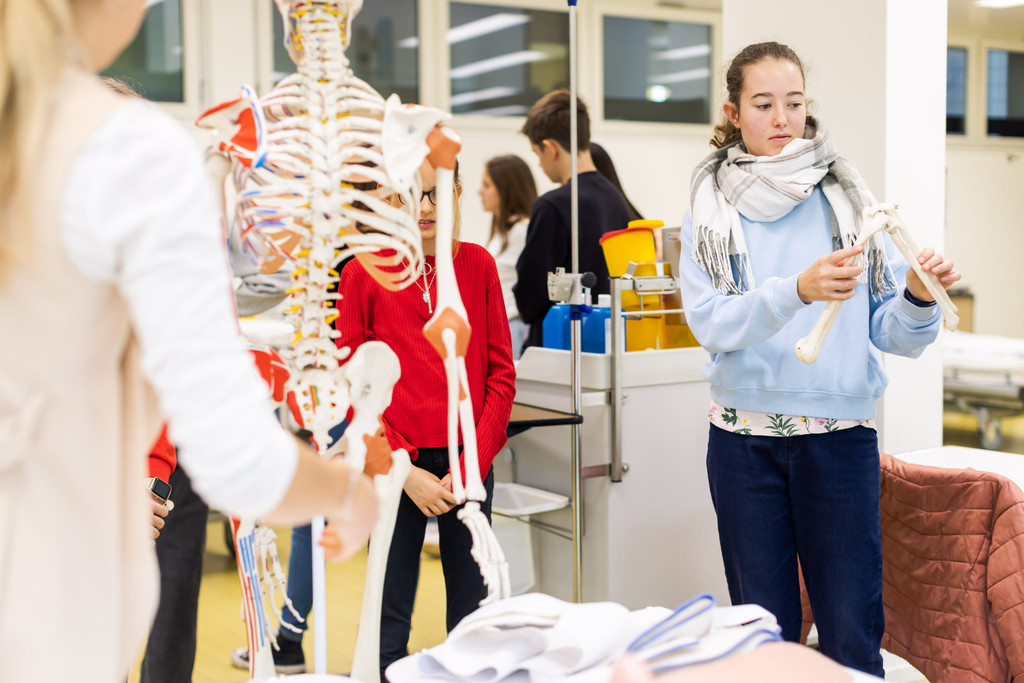 GKPSF_Chancentag_Kennenlernen von anatomischen Modellen_LisaMathis _4_.jpg