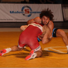 steigl vs zoidze 1.jpg