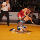 steigl vs zoidze 2.jpg