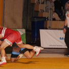 steigl vs zoidze 3.jpg