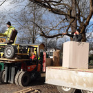 Versteigerung Bikes.jpg