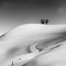 SM22-Heinz Hagenbucher-Winter_Road.jpg