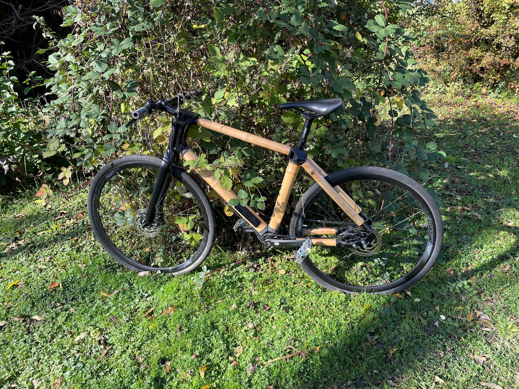 Tag der offenen T__r_Bambusfahrrad_1.jpg