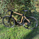 Tag der offenen T__r_Bambusfahrrad_1.jpg