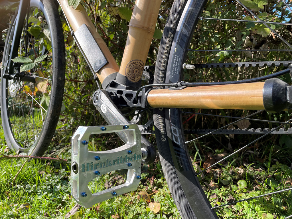 Tag der offenen T__r_Bambusfahrrad_2.jpg