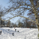 Wintry_Weather_New_York_40158.jpg