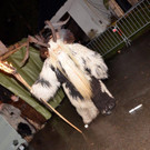 Krampusshow Braz 2022 _162_.jpg